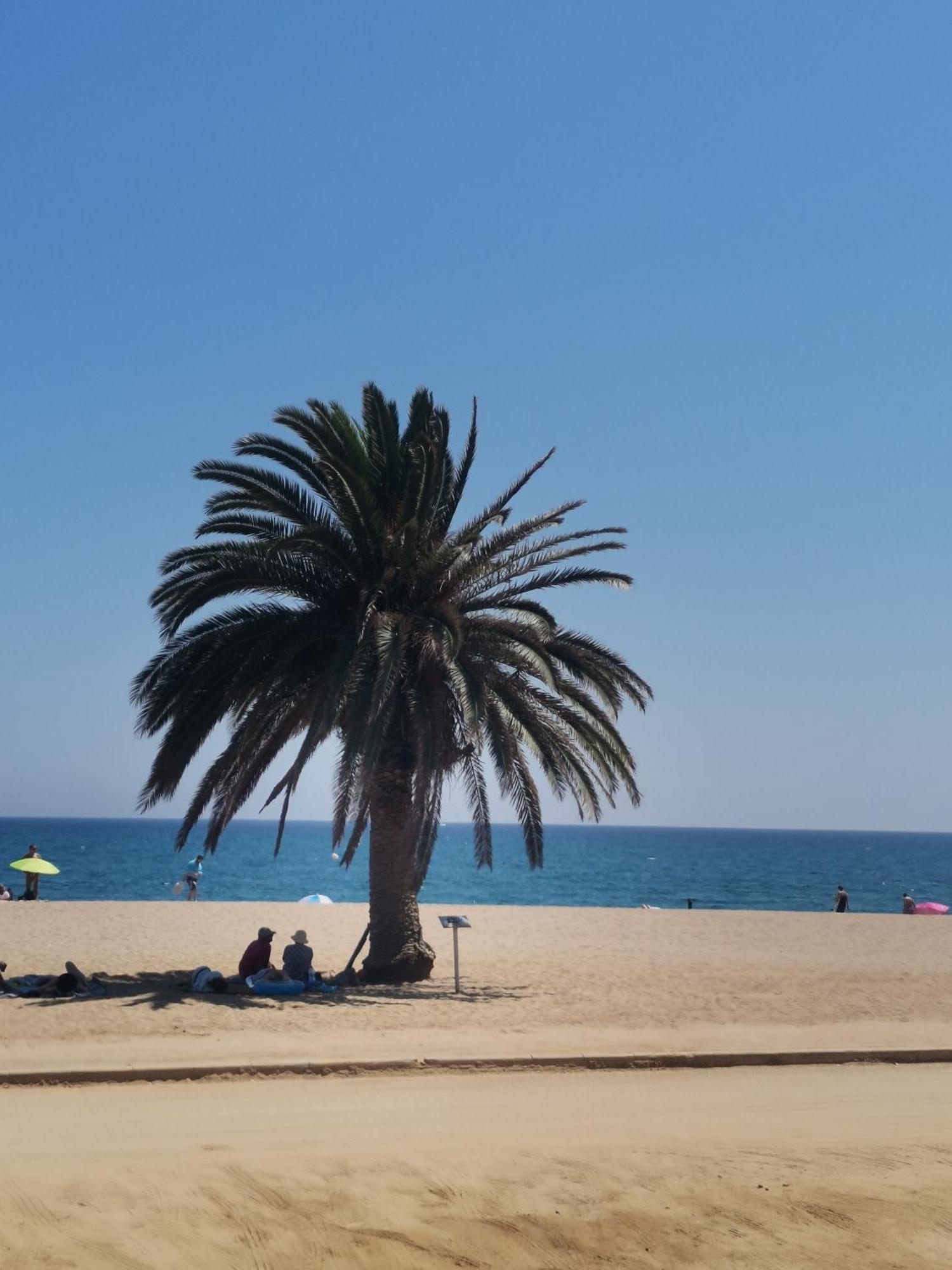Apartamento Centrico En Calella Luaran gambar